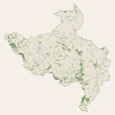 Mordelles : bois, forêts et landes