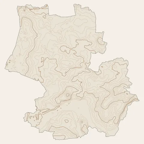 Noyal-Châtillon-sur-Seiche : courbes de niveau