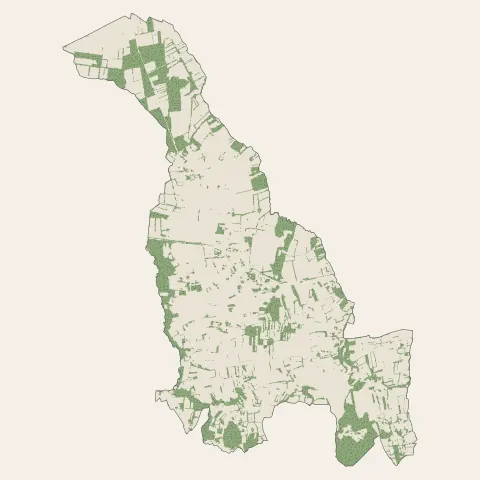 Plerguer : bois, forêts et landes