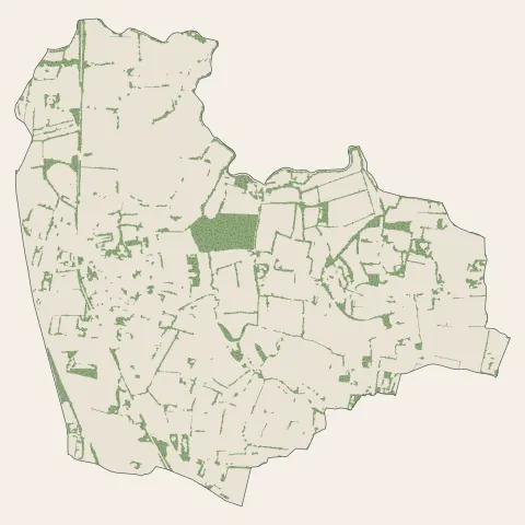 Saint-Armel : bois, forêts et landes