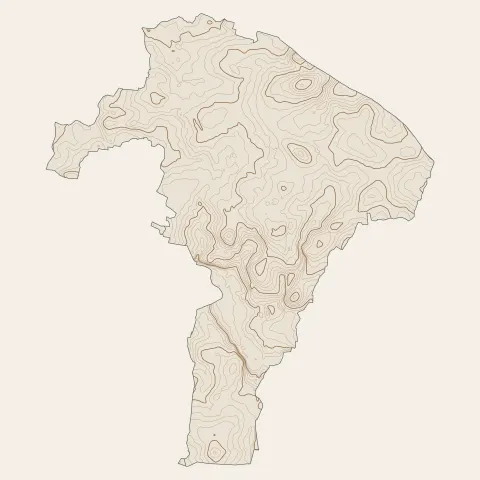 Vern-sur-Seiche : courbes de niveau