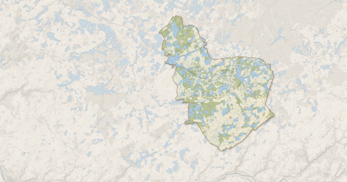 Portrait cartographique de Migné : relief, eau, forêts, bâti et voies, calculés à partir des données de l'IGN