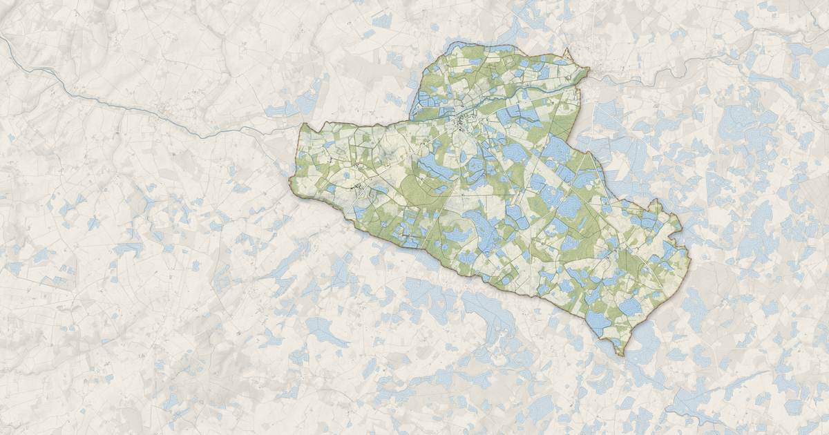 Portrait cartographique de Saint-Michel-en-Brenne : relief, eau, forêts, bâti et voies, calculés à partir des données de l'IGN