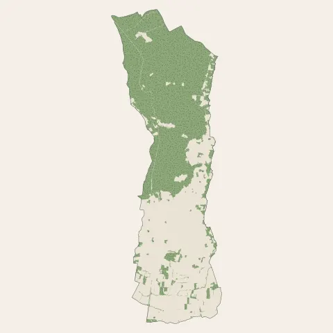 Bourgueil : bois, forêts et landes