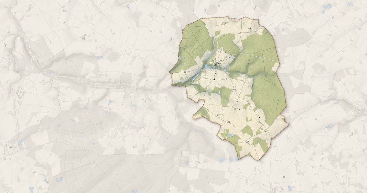 Portrait cartographique de La Ferrière : relief, eau, forêts, bâti et voies, calculés à partir des données de l'IGN