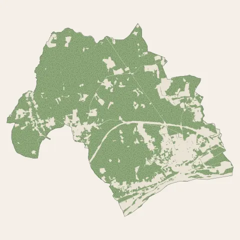 Langeais : bois, forêts et landes