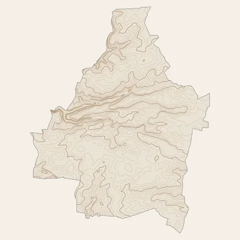 Monnaie : courbes de niveau