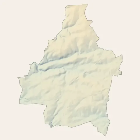 Monnaie : relief