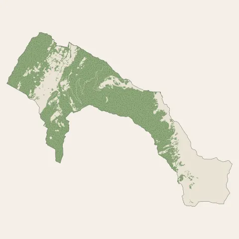 Allevard : bois, forêts et landes