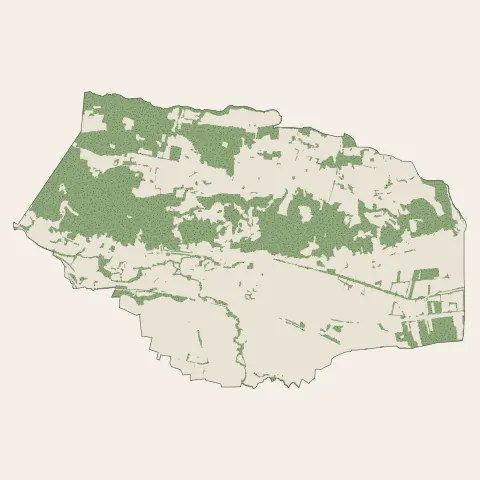 Cessieu : bois, forêts et landes