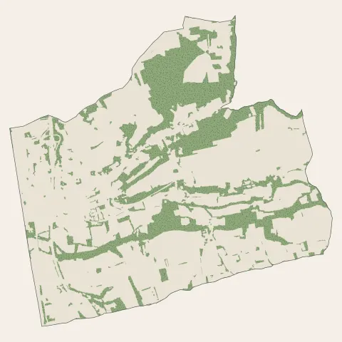 Chanas : bois, forêts et landes
