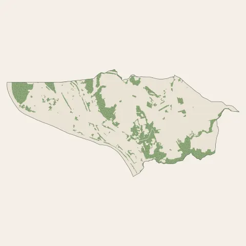 Chasse-sur-Rhône : bois, forêts et landes