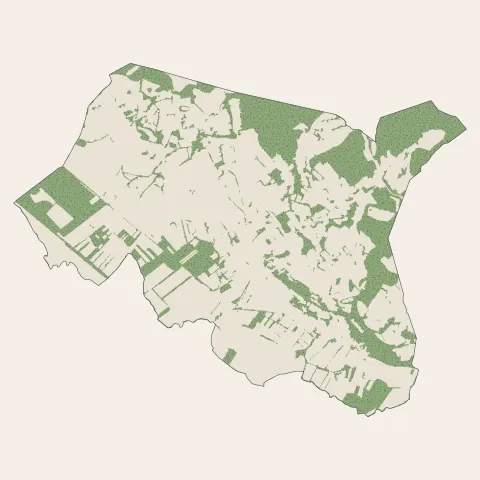 Frontonas : bois, forêts et landes