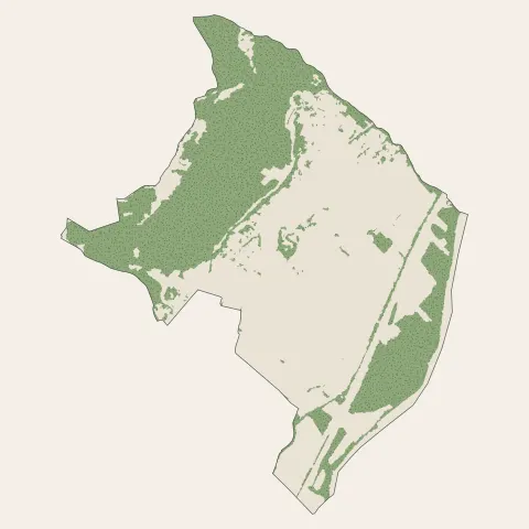 Lumbin : bois, forêts et landes