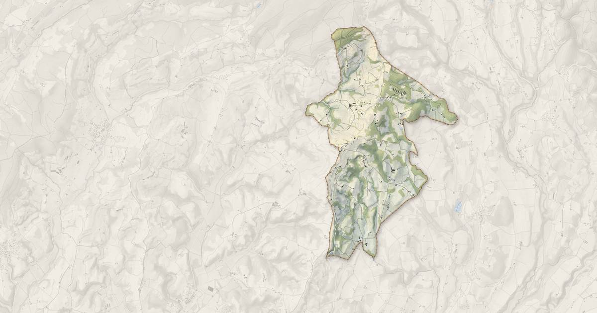 Portrait cartographique de Montagne : relief, eau, forêts, bâti et voies, calculés à partir des données de l'IGN