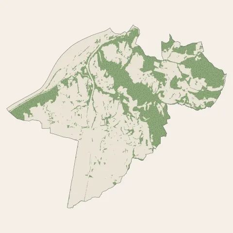 Reventin-Vaugris : bois, forêts et landes