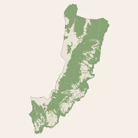 Plateau-des-Petites-Roches : bois, forêts et landes
