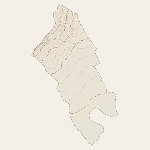 Saint-Ismier : courbes de niveau