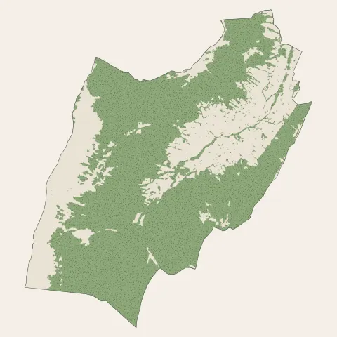 Saint-Paul-de-Varces : bois, forêts et landes