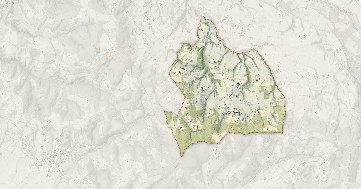 Portrait cartographique de Saint-Sorlin-de-Vienne : relief, eau, forêts, bâti et voies, calculés à partir des données de l'IGN