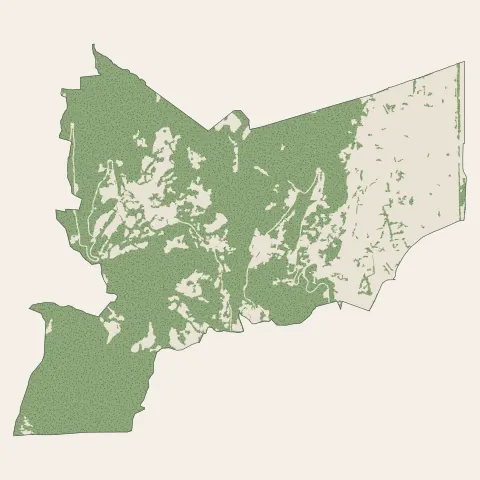 Seyssinet-Pariset : bois, forêts et landes