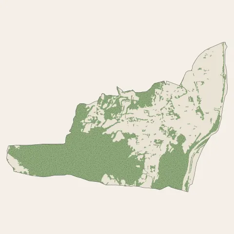 Seyssins : bois, forêts et landes