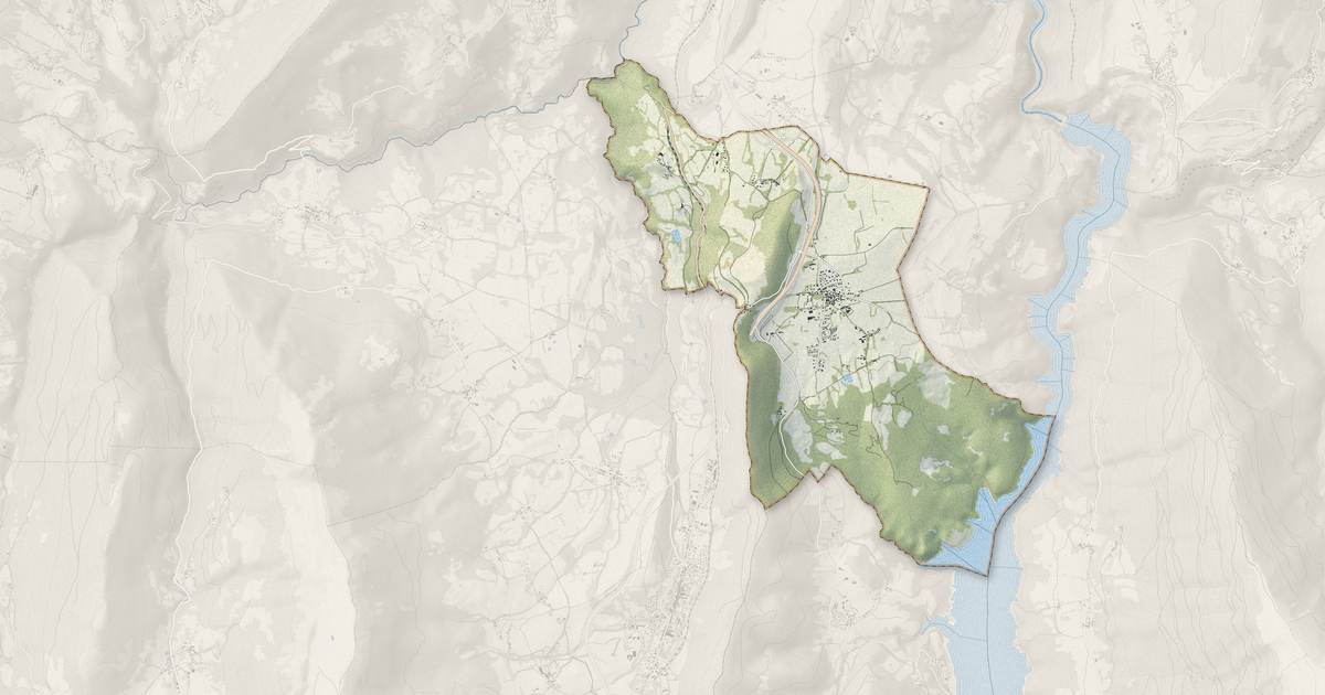 Portrait cartographique de Sinard : relief, eau, forêts, bâti et voies, calculés à partir des données de l'IGN