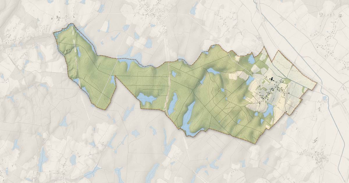 Portrait cartographique de Biefmorin : relief, eau, forêts, bâti et voies, calculés à partir des données de l'IGN