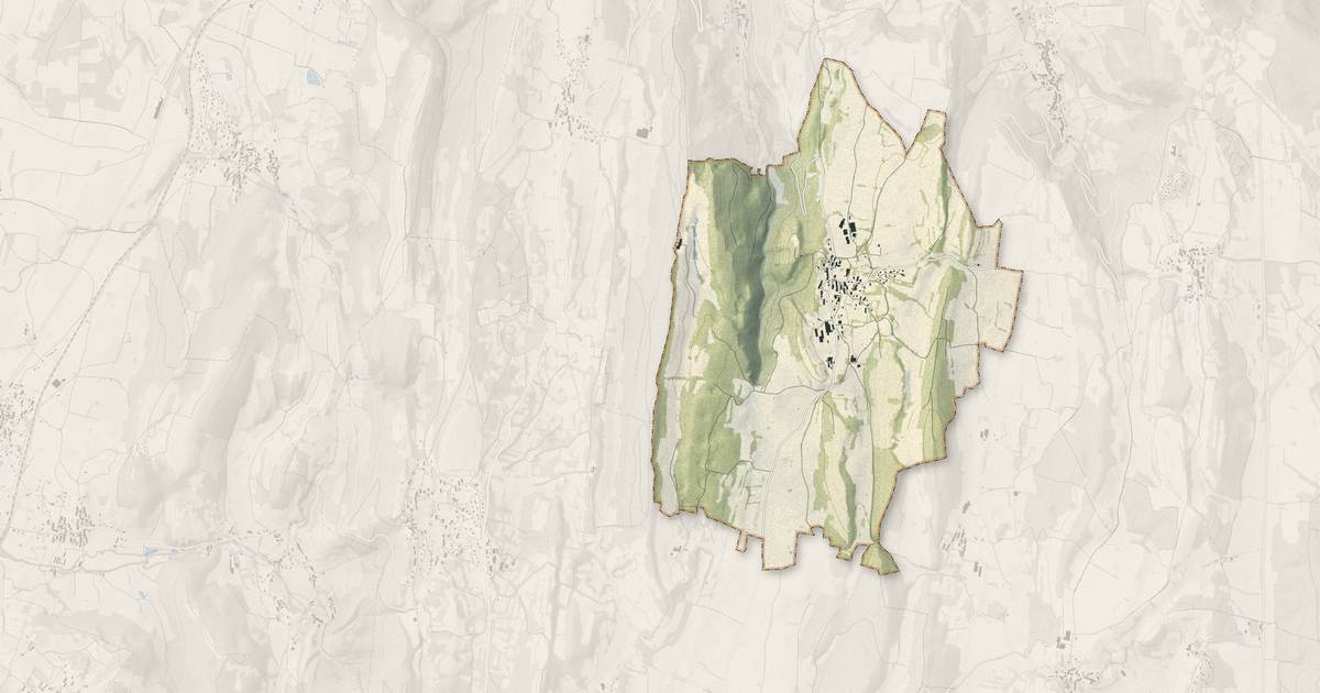 Portrait cartographique de Bornay : relief, eau, forêts, bâti et voies, calculés à partir des données de l'IGN