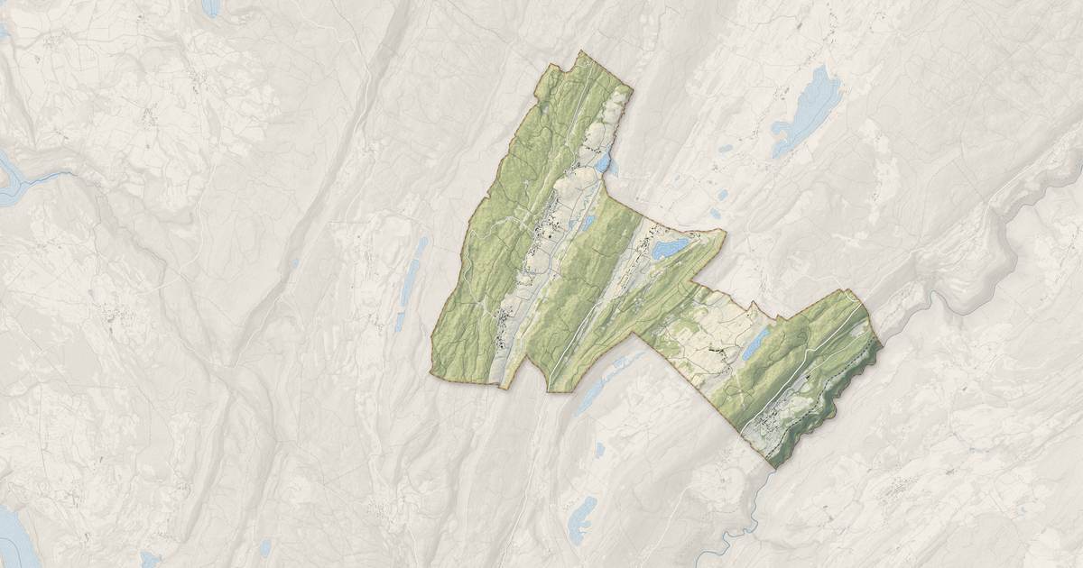 Portrait cartographique de Nanchez : relief, eau, forêts, bâti et voies, calculés à partir des données de l'IGN