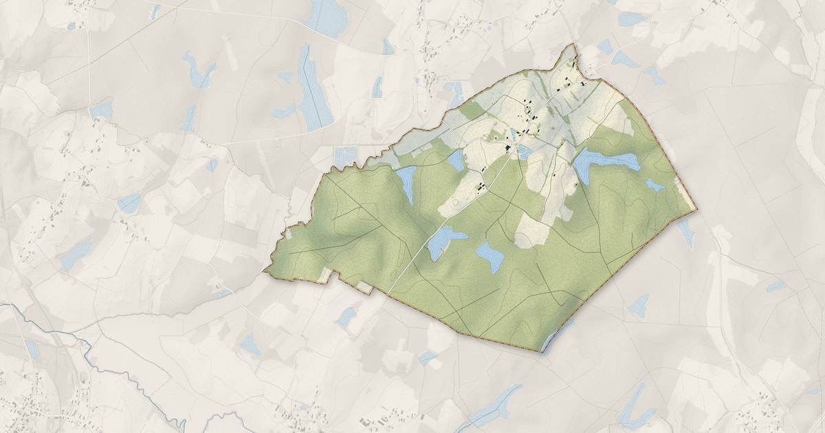 Portrait cartographique de Chemenot : relief, eau, forêts, bâti et voies, calculés à partir des données de l'IGN