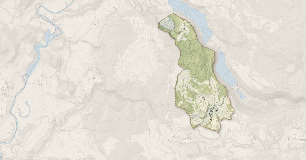 Portrait cartographique de Denezières : relief, eau, forêts, bâti et voies, calculés à partir des données de l'IGN