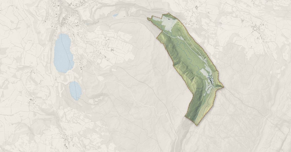Portrait cartographique de La Frasnée : relief, eau, forêts, bâti et voies, calculés à partir des données de l'IGN