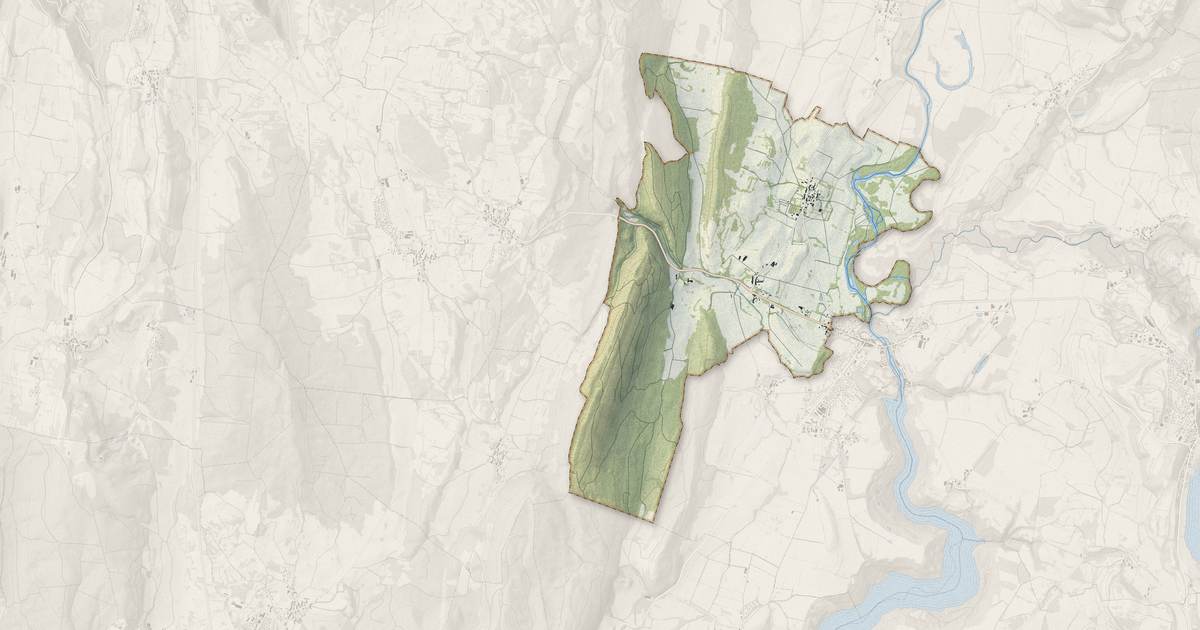 Portrait cartographique de Mesnois : relief, eau, forêts, bâti et voies, calculés à partir des données de l'IGN