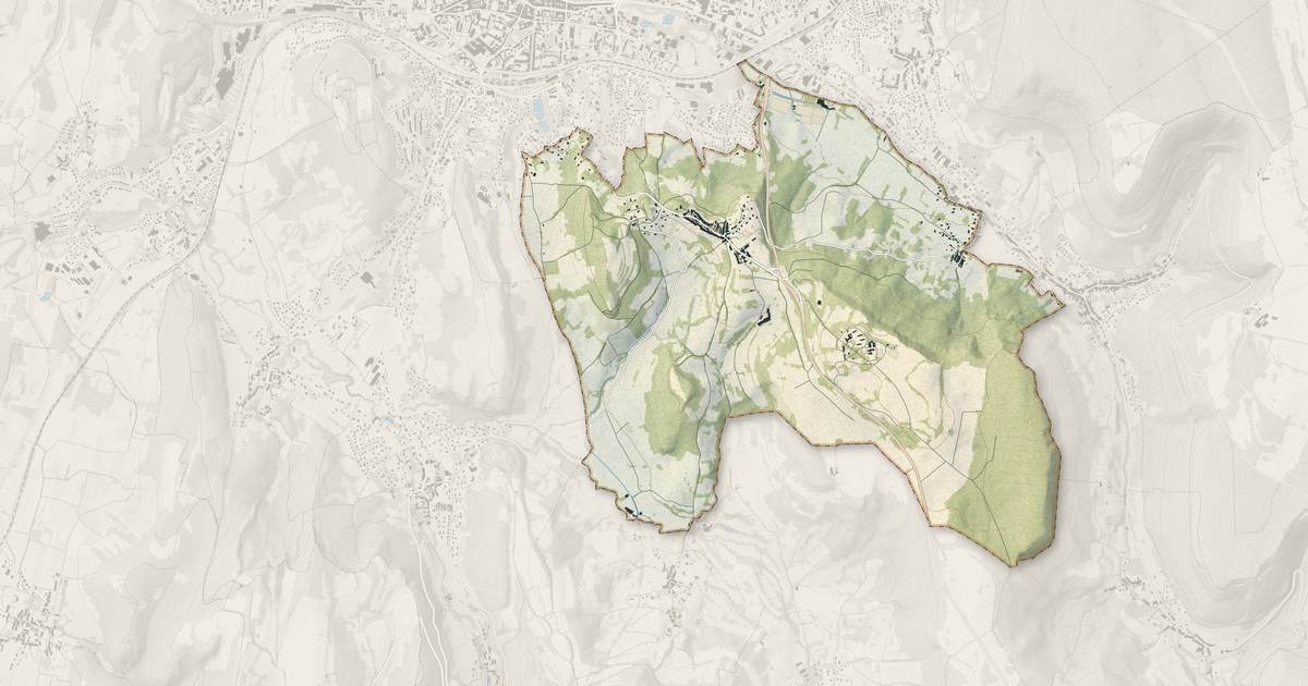 Portrait cartographique de Montaigu : relief, eau, forêts, bâti et voies, calculés à partir des données de l'IGN