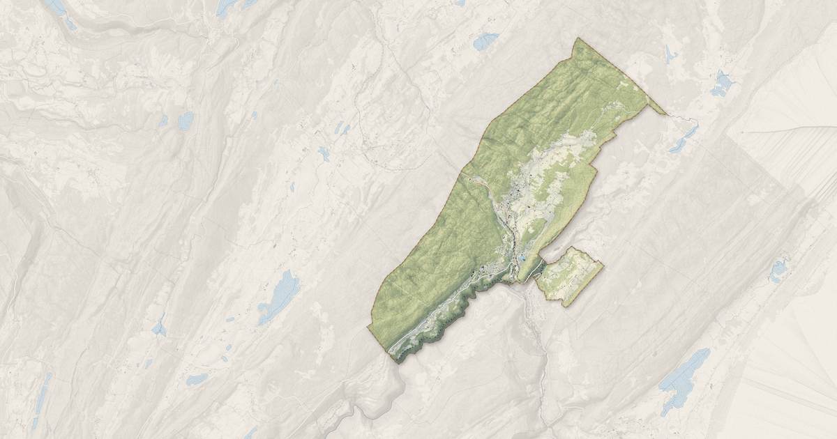 Portrait cartographique de Morbier : relief, eau, forêts, bâti et voies, calculés à partir des données de l'IGN