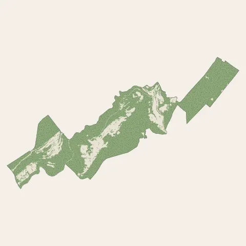 Hauts de Bienne : bois, forêts et landes