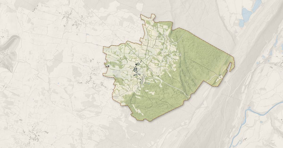 Portrait cartographique de Picarreau : relief, eau, forêts, bâti et voies, calculés à partir des données de l'IGN