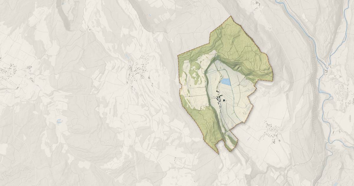 Portrait cartographique de Pillemoine : relief, eau, forêts, bâti et voies, calculés à partir des données de l'IGN