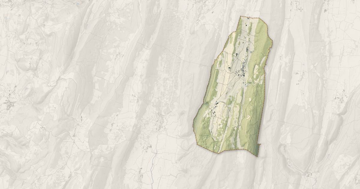 Portrait cartographique de Pimorin : relief, eau, forêts, bâti et voies, calculés à partir des données de l'IGN
