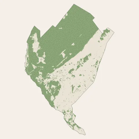 Les Rousses : bois, forêts et landes