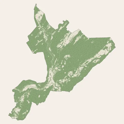 Saint-Claude : bois, forêts et landes
