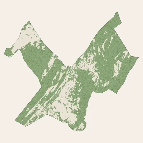 Coteaux du Lizon : bois, forêts et landes