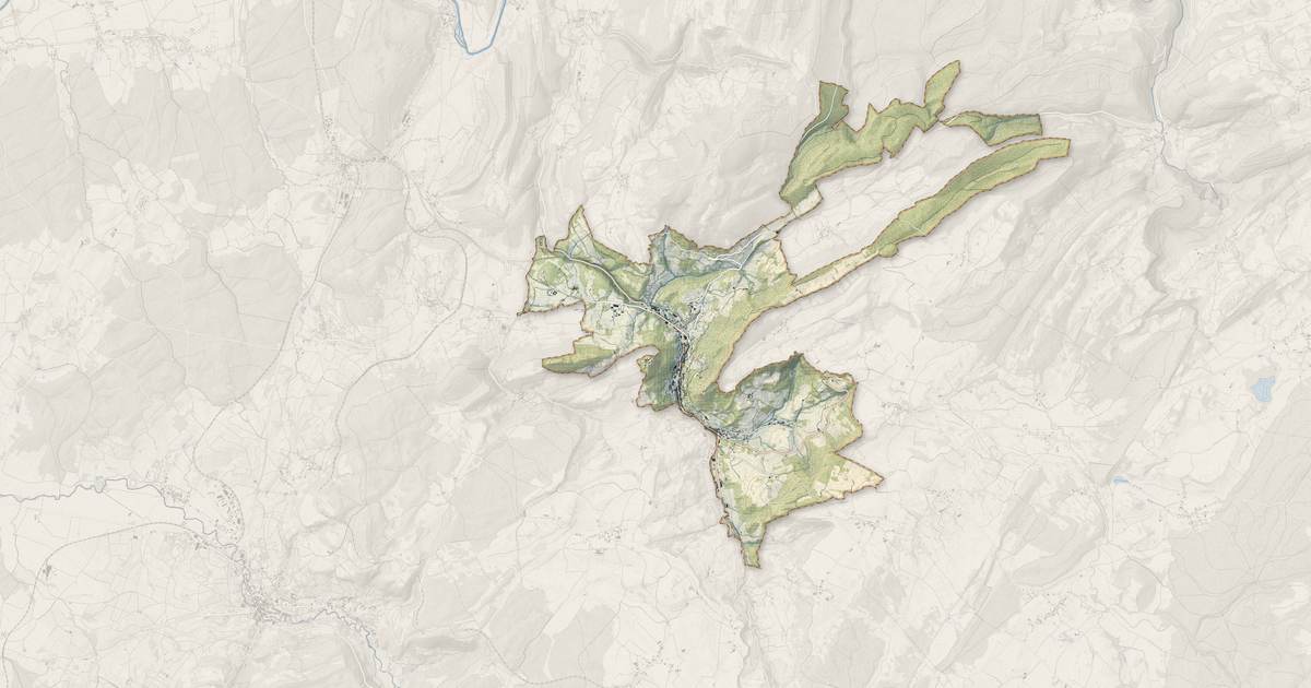 Portrait cartographique de Salins-les-Bains : relief, eau, forêts, bâti et voies, calculés à partir des données de l'IGN