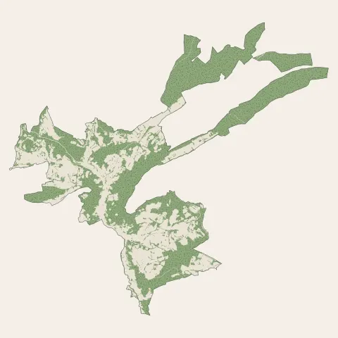 Salins-les-Bains : bois, forêts et landes