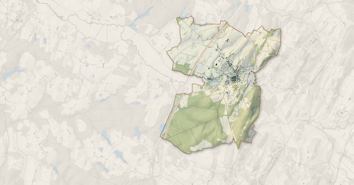 Portrait cartographique de Sellières : relief, eau, forêts, bâti et voies, calculés à partir des données de l'IGN