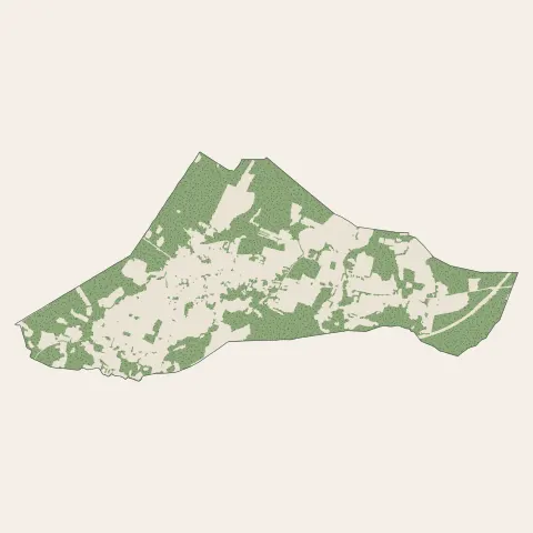 Angresse : bois, forêts et landes