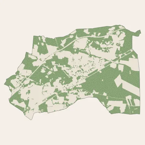 Bénesse-Maremne : bois, forêts et landes