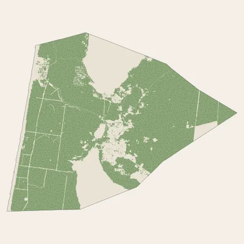 Biscarrosse : bois, forêts et landes
