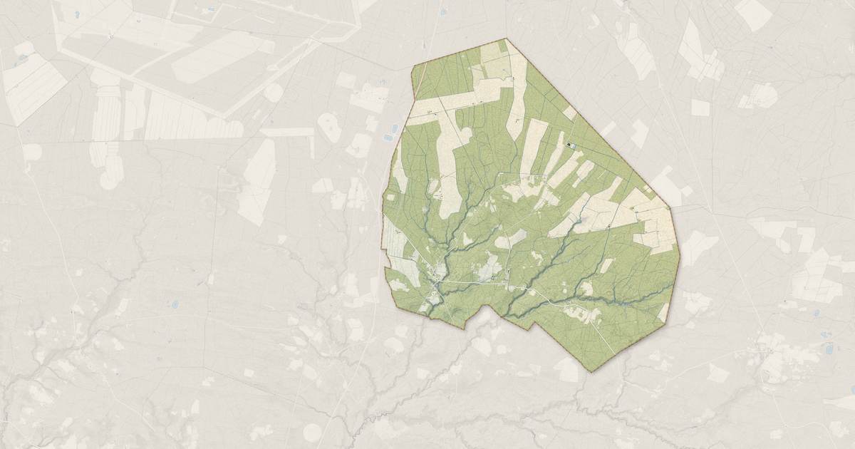 Portrait cartographique de Bourriot-Bergonce : relief, eau, forêts, bâti et voies, calculés à partir des données de l'IGN